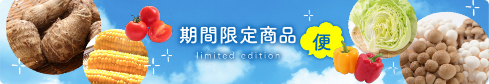 期間限定商品パソコン用の画像